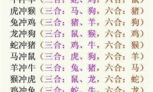 偷合取容打一生肖全面释义、深度解答解释落实