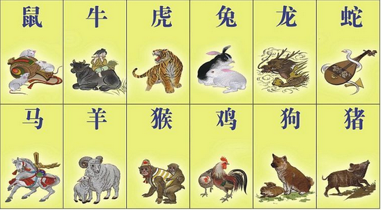 偷合取容打一生肖全面释义、深度解答解释落实