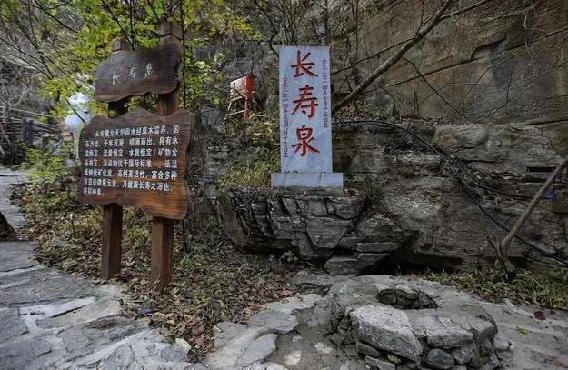 山川无恙打一正确动物生肖,警惕虚假宣传落实,统计解答解释落实